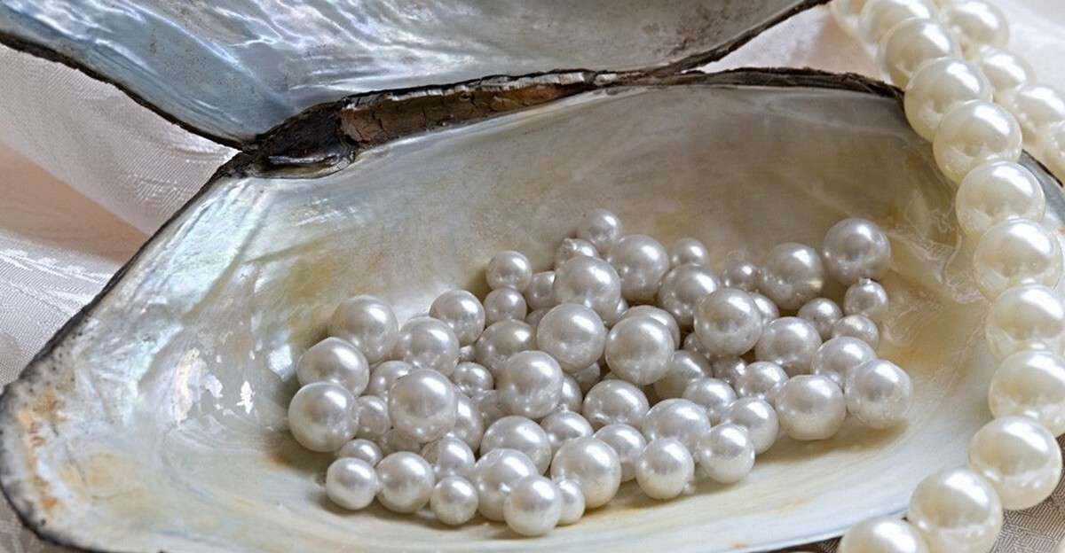 jewellerymag-ru-2-pearl-oyster