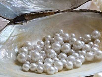 jewellerymag-ru-2-pearl-oyster