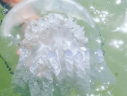 Безымянный