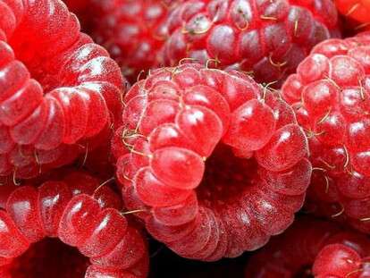 picture2_v-novom-sezone-ma_332140_p0_1