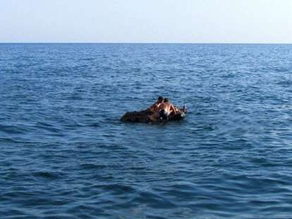 v-krymu-zhenshchinu-uneslo-v-more-na-naduvnom-matrase-136276(1)