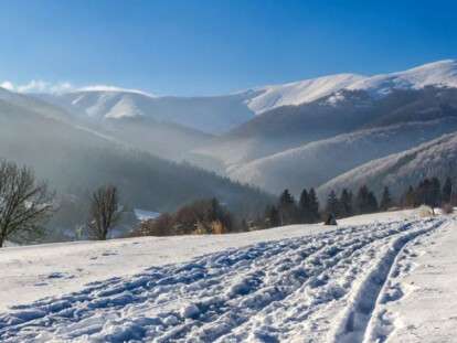 08f083f6634efc9bd3499a1a769a6a6b