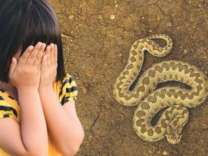 31c36f1ba22d8ef8f837b31b696d7ab6