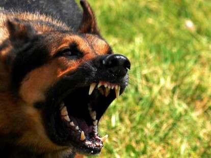 389b1419d386024814b9710bfcb9f5a1_XL