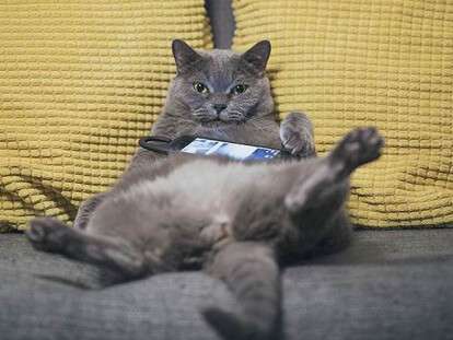 KMO_148127_01128_1_t218_223519