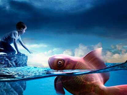 680x374_1_78fe95185b57f0686b75fd6b2baba99a@690x380_0xc0a8392b_12696938421497004210