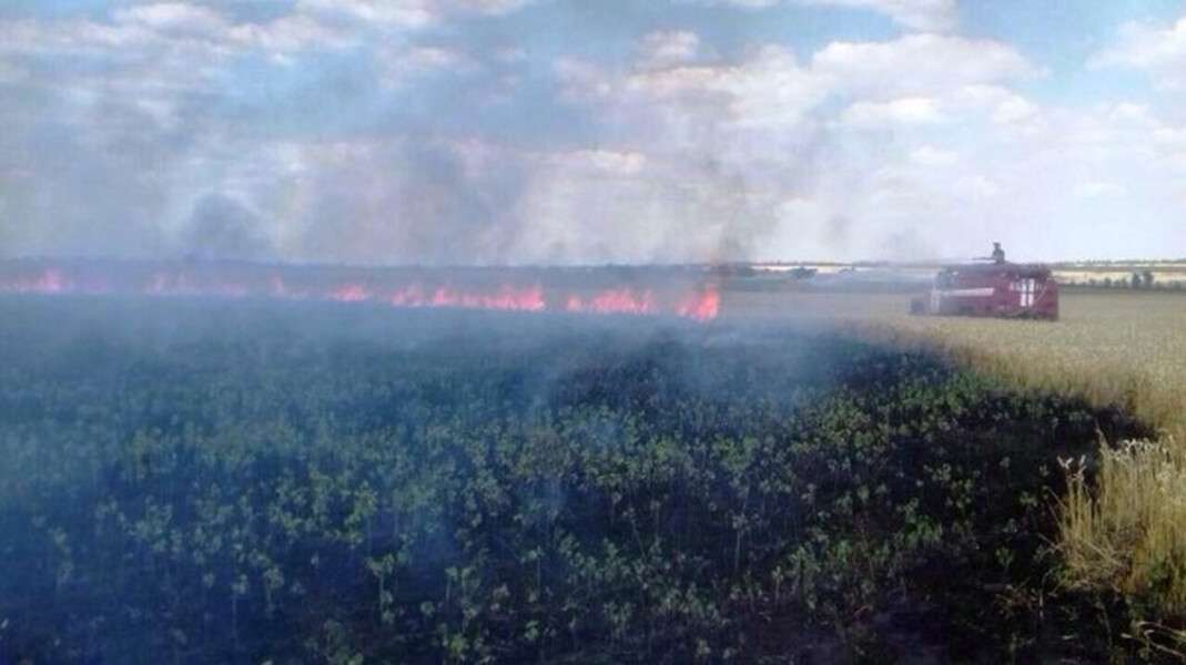 Катастрофа: на Днепропетровщине сгорел целый урожай (Фото ...