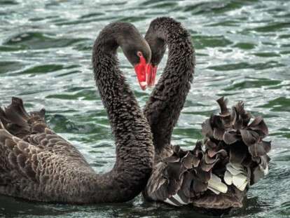 oboinastol.com_1422567408