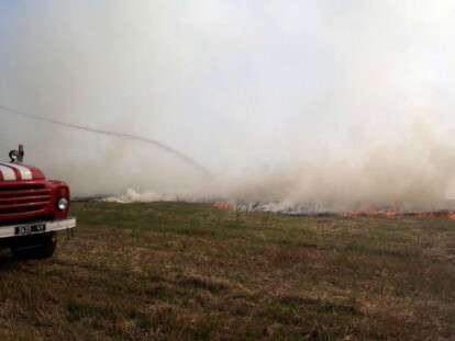 5d398e13d7d10539464075