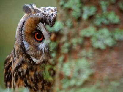 89d047cf6db20440794cc0a601674390