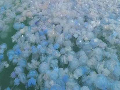 1532517068152093876-750x430