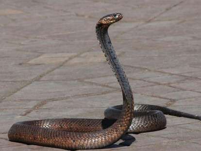 40b78fd4a755a2b3e75b5f0c3cf03b05