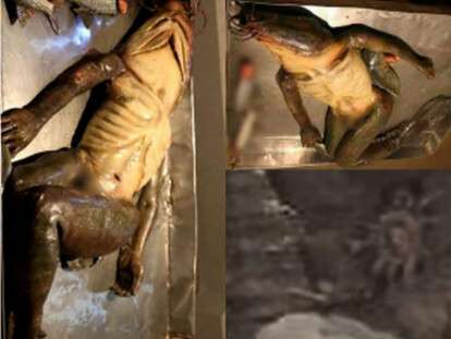 0eafb13a079d5e4ef0afd13f0ed29317