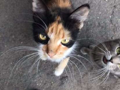 изображение_viber_2019-08-05_13-48-03