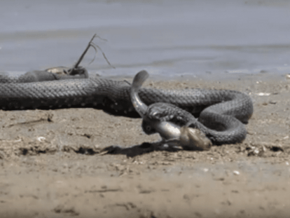 2019-06-19_12-34-58-400x210