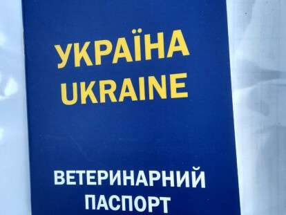 1350201805_w640_h640_veterinarnyj-pasport-dlya