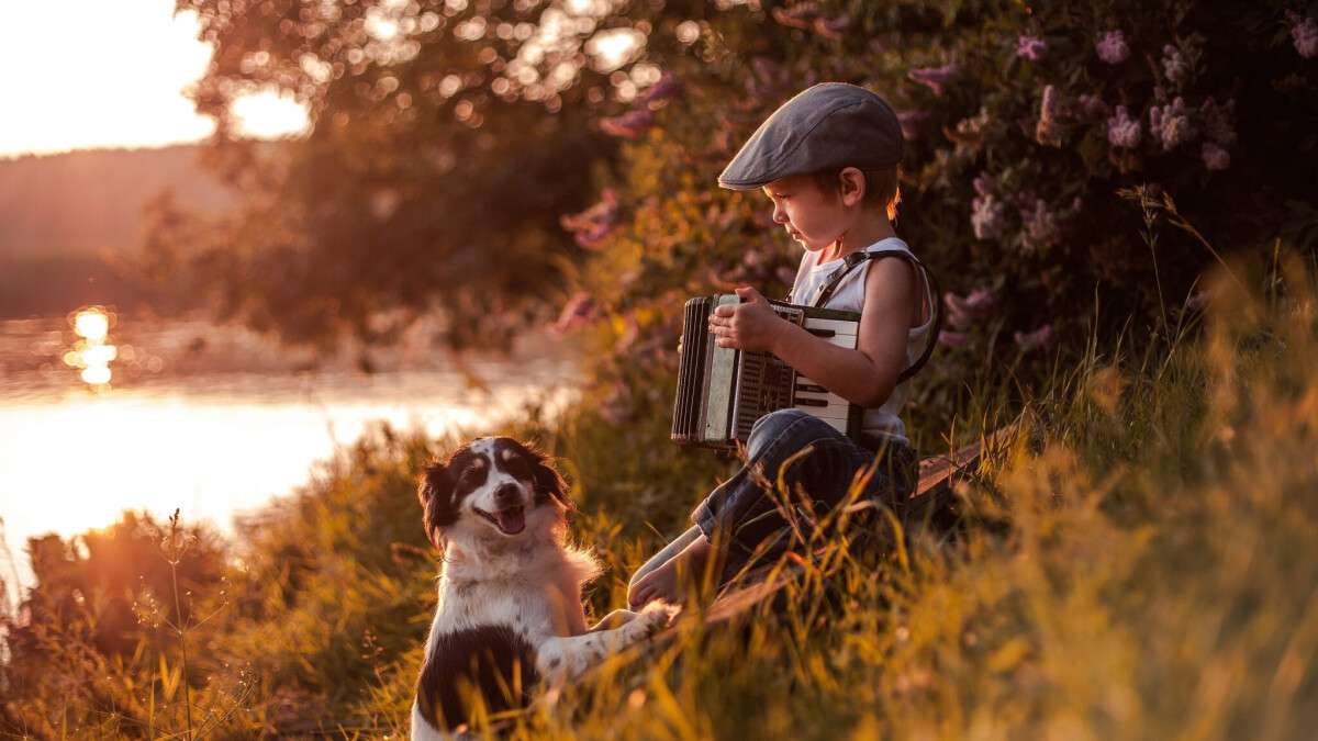 Child-boy-play-accordion-furry-dog-river-sunshine_3840x2160