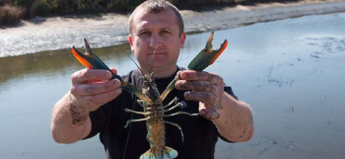 раки