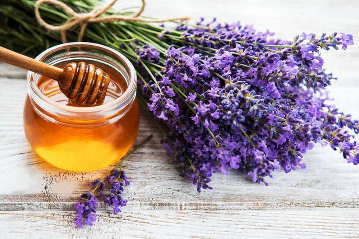 Jar with honey and fresh lavender