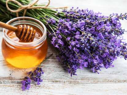 Jar with honey and fresh lavender