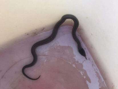 67764170_2894703130541089_8278070204819308544_n-644x833