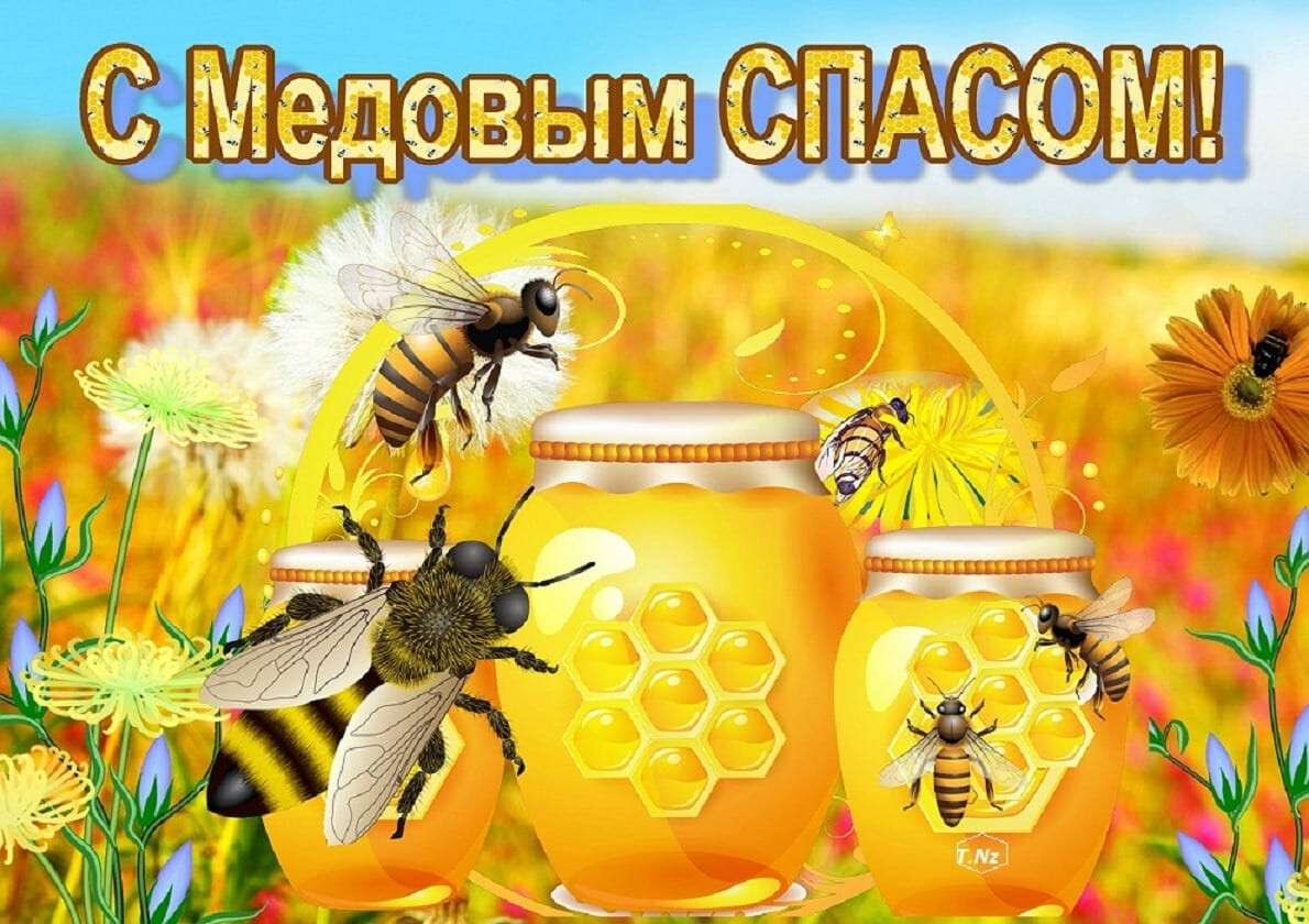 медов