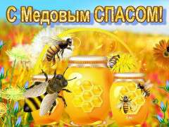 медов