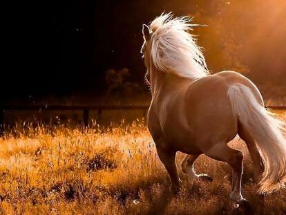 2016_08_24-035-12_1-900x600