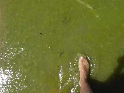 maxresdefault-1-5-750x430