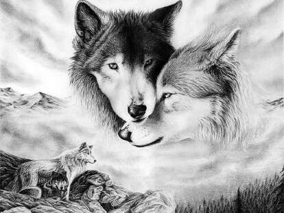 70863566_images_10679692880