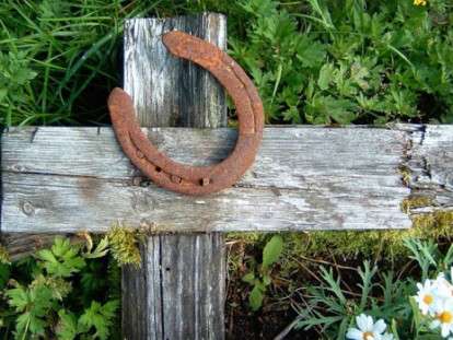 1561361631_5d0f85c061b4a