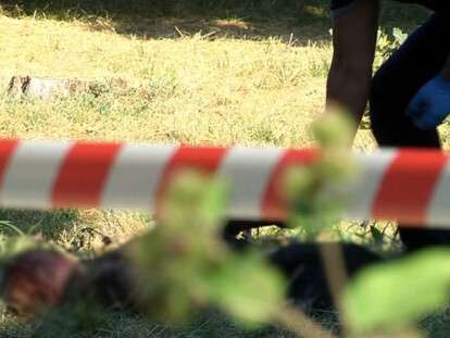 8a1a2de53295afacccd8cd13d9878f62