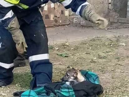 29,284,29.jpg.pagespeed.ce.8jDNzc-o3N