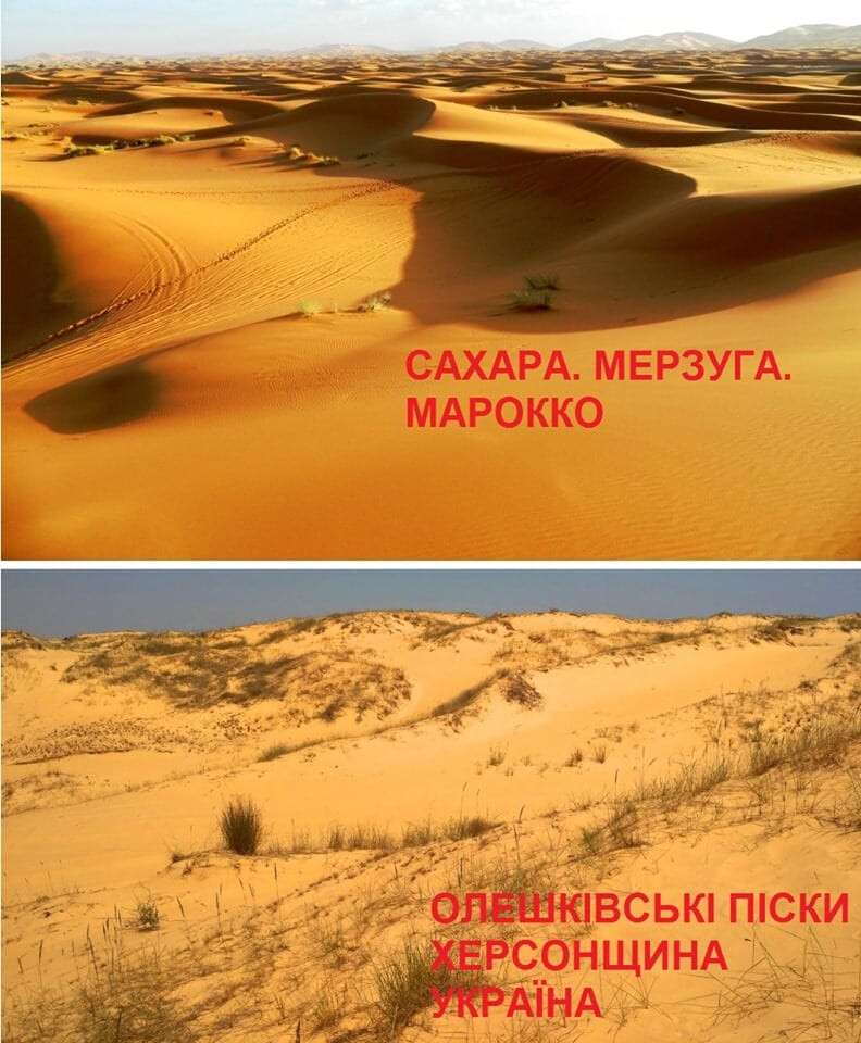 Без названия