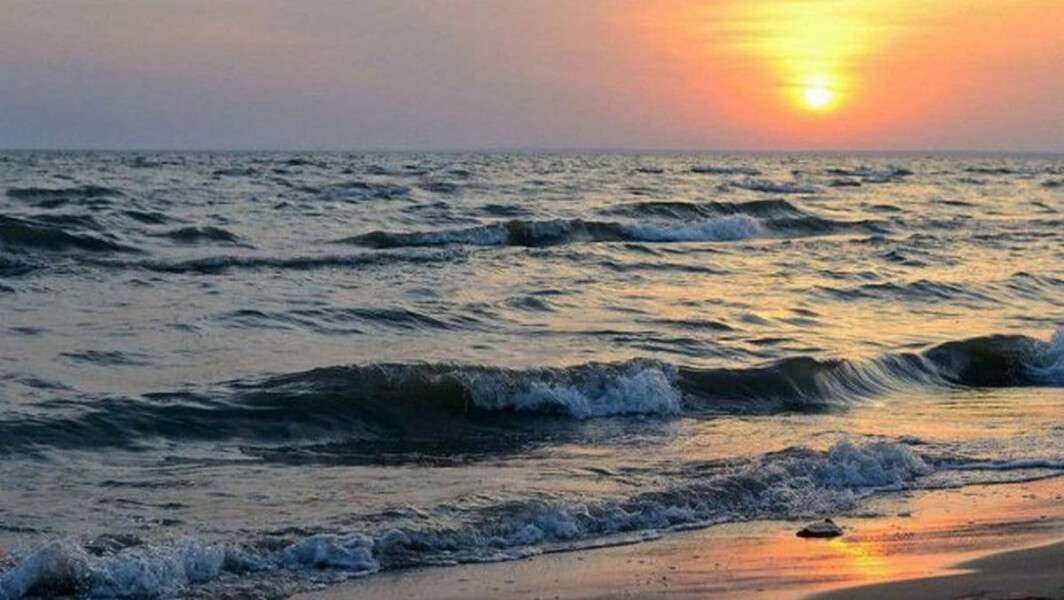 Тигуан на море