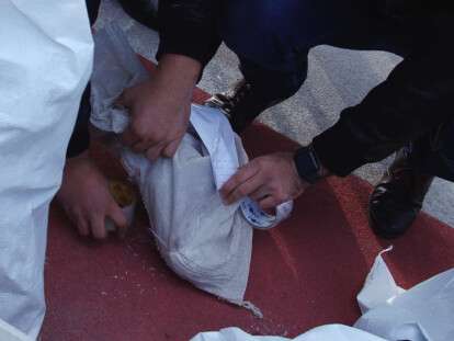 71150700_918746798479872_1653816430505754624_n (1)