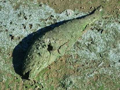 cropped-71752805_2397834586938768_1501297236972142592_n-1.jpg