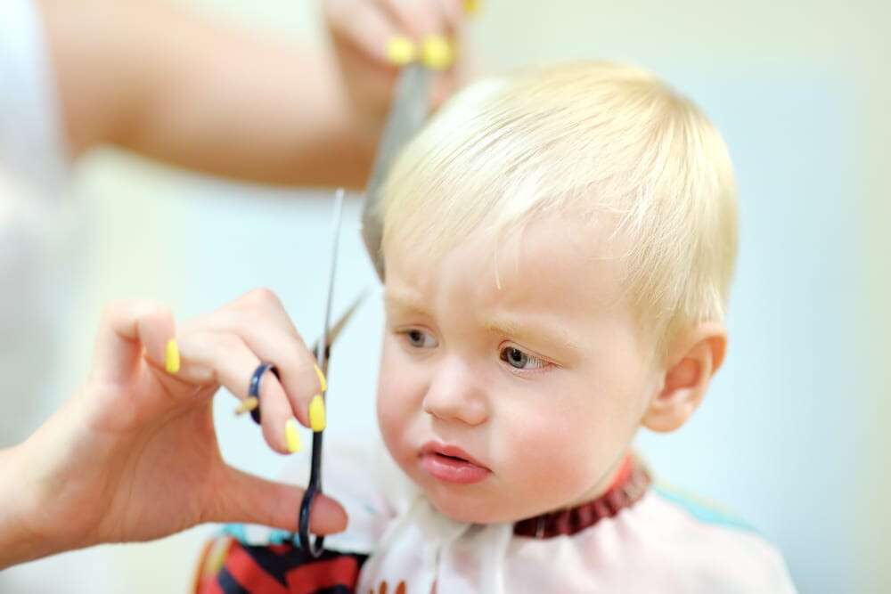 Toddler getting his first haircut