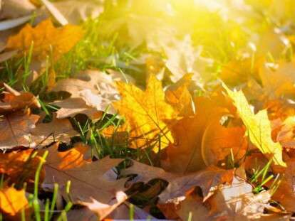 4 октября-ава