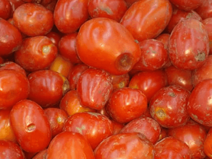 cropped-uu-2.png