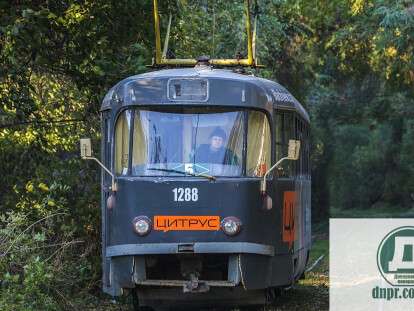 cropped-img_2368.jpg