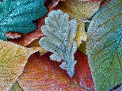 08f69620db77568b33fc3829210fab7e