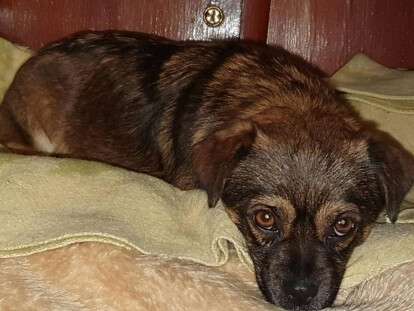 70637765_2529485613787548_4909889699482435584_n