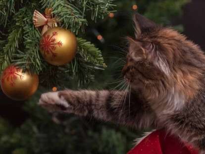 изображение_viber_2019-12-17_13-39-55