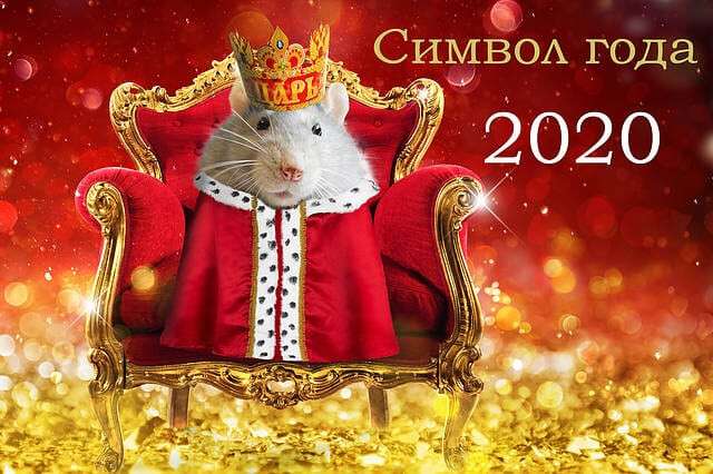 novyj-god-2020-metallicheskoj-krysy-chto-gotovit-nam-myshka-1