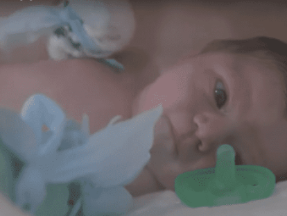 7-1110x532-1-730x350