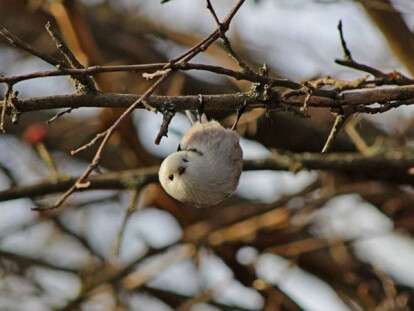 opolovnik-visit-675x450