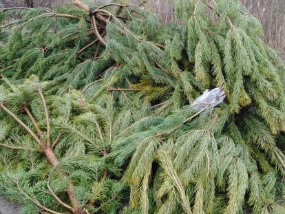 огро