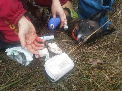 80360283_2226392724330052_2906728609169276928_n