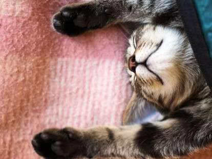 a631da3e12c0f3456ecb65278b38dbbe